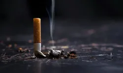 Tütün her yıl bakın kaç milyon insan öldürüyor! İşte şirketlerin yeni sinsi hedefi