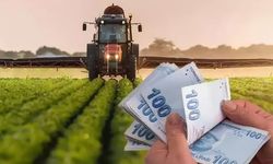 Çiftçilere iyi haber! Bakanlık duyurdu