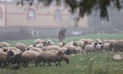 İşgal ordusu Suriye'nin Kuneytra kırsalına baskın düzenledi!