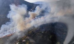 Marmaris'te makilik ve otluk alanda yangın!