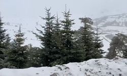 Bolu ve Düzce'ye mayısta kar yağdı!