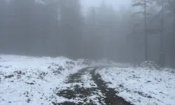 Kış geri döndü!