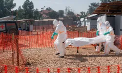 Ebola vakalarında artış var