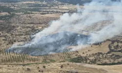 Çanakkale'de orman yangını