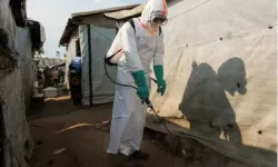 Ebola hızla yayılıyor