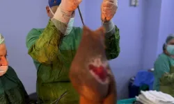 Aydın'da yaşayan kadının karnından 40 kilogram kitle çıkarıldı