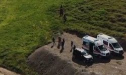 Mantar toplayanlara ayı saldırdı: 3 yaralı