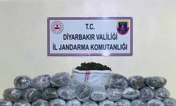 Diyarbakır'da 1 milyon 755 bin kök kenevir ve skunk ele geçirildi!
