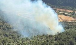 Bursa'da orman yangını!