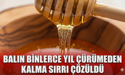 Balın binlerce yıl çürümeden kalma sırrı çözüldü