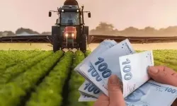 Tarım ÜFE ne kadar oldu?