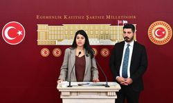 SUÇA SÜRÜKLENMEYİ TERCİH EDEN ÇOCUKLAR...DEM PARTİ BUNA DA KARŞI ÇIKTI..
