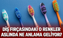 Diş fırçasındaki o renkler aslında ne anlama geliyor?