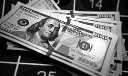 Dolar 13 ayın zirvesinde