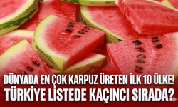Dünyada en çok karpuz üreten ilk 10 ülke!  Türkiye listede kaçıncı sırada?