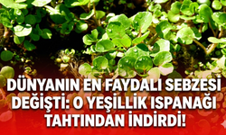 Dünyanın en faydalı sebzesi değişti: O yeşillik ıspanağı tahtından indirdi!