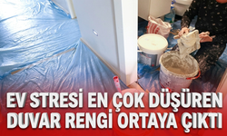 Ev stresini en çok düşüren duvar rengi ortaya çıktı