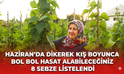 Haziran’da dikerek kış boyunca bol bol hasat alabileceğiniz 8 sebze