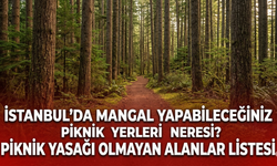 İstanbul'da mangal yapabileceğiniz piknik yerleri neresi? Piknik yasağı olmayan alanlar listesi
