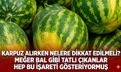 Karpuz alırken nelere dikkat edilmeli? Meğer bal gibi tatlı çıkanlar hep bu işareti gösteriyormuş