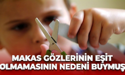 Makas gözlerinin eşit olmamasının nedeni buymuş