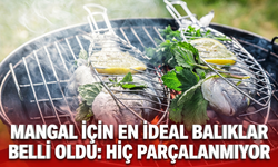 Mangal için en ideal balıklar belli oldu: Hiç parçalanmıyor