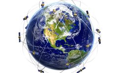 Bu hayvan yön bulurken karaciğerlerini GPS gibi kullanıyor