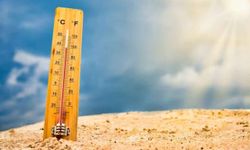 Meteoroloji'den sıcak hava uyarısı!