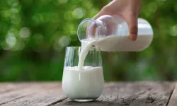 Çiğ sütün üretim maliyeti belli oldu