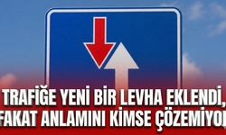 Trafiğe yeni bir levha eklendi fakat anlamını kimse çözemiyor