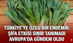 Türkiye'ye özgü bir endemik: Şifa etkisi sınır tanımadı Avrupa'da gündem oldu