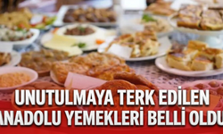 Unutulmaya terk edilen Anadolu yemekleri belli oldu!