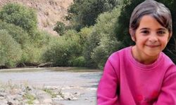 Narin Güran'ın köyünde muhtarlık seçimi düzenleniyor