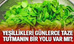 Yeşillikleri günlerce taze tutmanın bir yolu var mı?