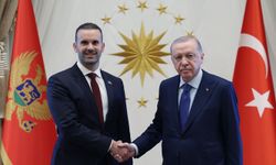 Erdoğan, Karadağ Başbakanı Spajic'i kabul etti