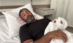 Ayı Saldırısına Uğradı: Hastaneye Kaldırıldı