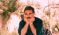 Ekolojik Öcalan böceğe kıyamamış, yerden alıp duvara koymuş