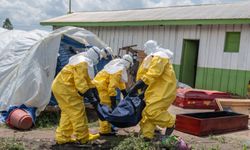 Afrika'da Ebola kaynaklı ölüm sayısı 600'ü aştı!
