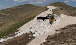 Bitlis'te kar mesaisi sürüyor!