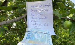 Sahibi Hazır Bulunmayan Bağdan Meyve Kopardıktan Sonra Para Bırakmak Caiz midir? Merak Edilen Sorunun Yanıtı!