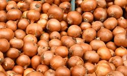 Kuru soğan zam şampiyonu oldu