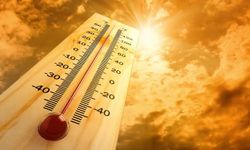 Belçika'da sıcak hava dalgası can kayıplarını artırdı