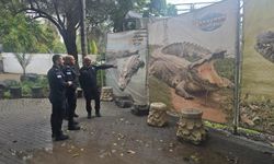 Siyonistlerin Filistinli esirler için timsah planı