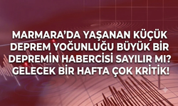 Marmara’da yaşanan küçük deprem yoğunluğu büyük bir depremin habercisi sayılır mı? Gelecek bir hafta çok kritik!