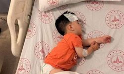 1,5 yaşındaki çocuk sahipsiz köpeğin saldırısına uğramıştı! Bakan Çiftçi'den talimat!
