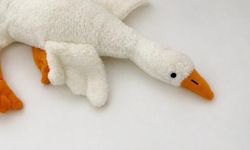 Bakanlık'tan açıklama: Peluş kaz oyuncağı piyasadan toplatılıyor