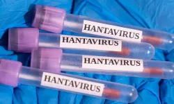 Hantavirüs yine hortladı! 3 kişi hayatını kaybetti