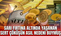 Sarı fırtınada yaşanan sert çöküşün asıl nedeni buymuş