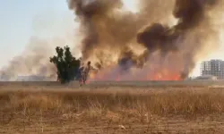 Suriye'de çıkan yangın Nusaybin sınırına sıçradı!