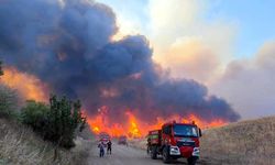 Tekirdağ'daki orman yangını 3 saatte kontrol altına alındı